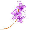purpleflowersr