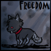 freedom16