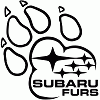 Subaru_Furs