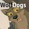 wolfdogs