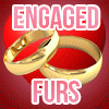 Engaged_Furs