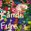 Kandi-furs