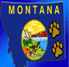 Montanafurs