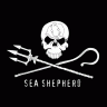 sea-sheperd-furs