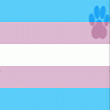 transgenderedfurs_