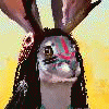kabuki-rabbit