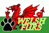 WelshFurs
