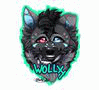 Wollxy