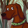 cajunhound