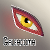galeacoma