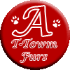 t-townfurgroup