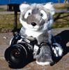 Photografurs