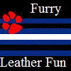 Furry-Leather-Fun