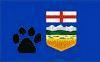 Albertafurs