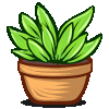 potted-plants