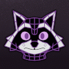 rockyrcoon2