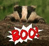 badbadbadgerboy