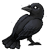 crowleft