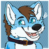 Danny_the_blue_fox