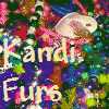 Kandi-Furs