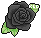 PastelBlackRose