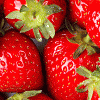 Strawberriesfurs