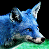 BlueFoxFurs