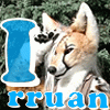 irruanfursuits