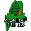 maine_furs