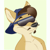 sandblastcoyote