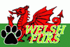 welshfurs