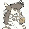 zebraanthro