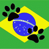 Brasilfurs