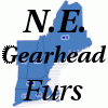 NE-Gearhead-Furs