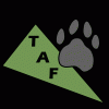 Triangle_Furs