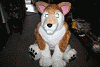 camerapup