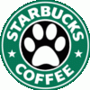 starbucksfurs