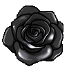 vulfsblackrose