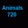 animals720