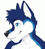 Drake_Husky