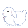 bunnyleftbun