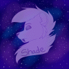 shadeart