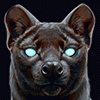 FoSSa_A
