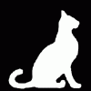 felids felids