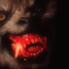 horrorfurs horrorfurs