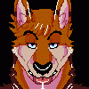 kingaroo kingaroo