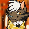 midnightalleycat midnightalleycat