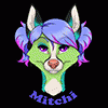 mitchi mitchi