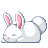 youthrabbiticon youthrabbiticon
