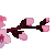 2sakuraki 2sakuraki